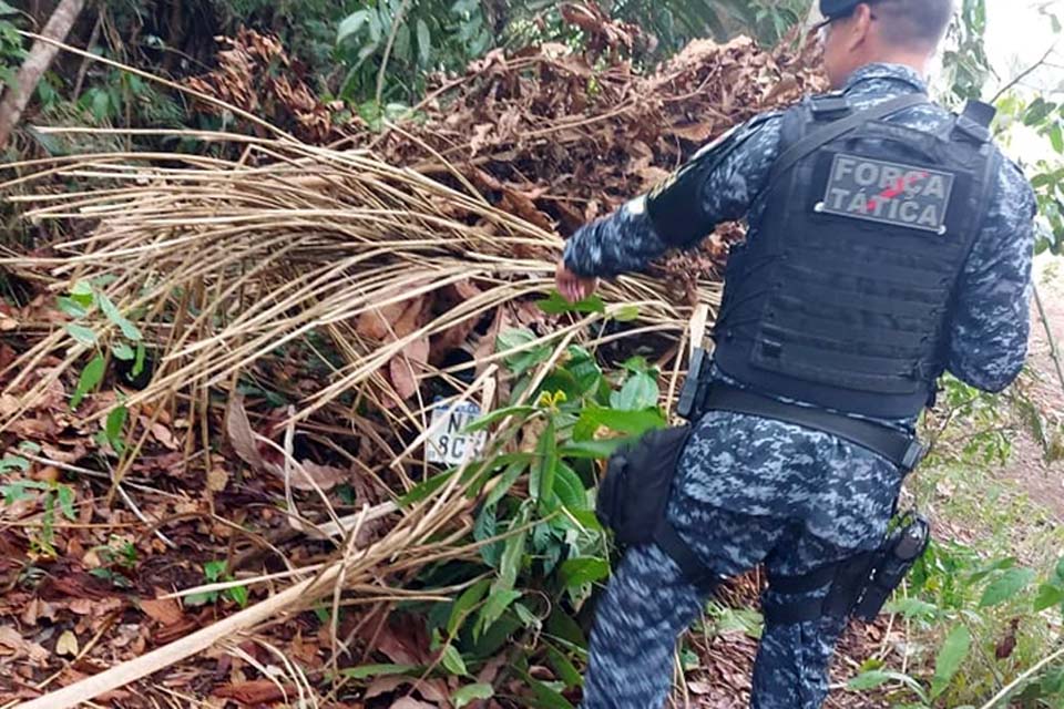 Homem é preso após roubo de R$40 mil reais de empresária em Humaitá