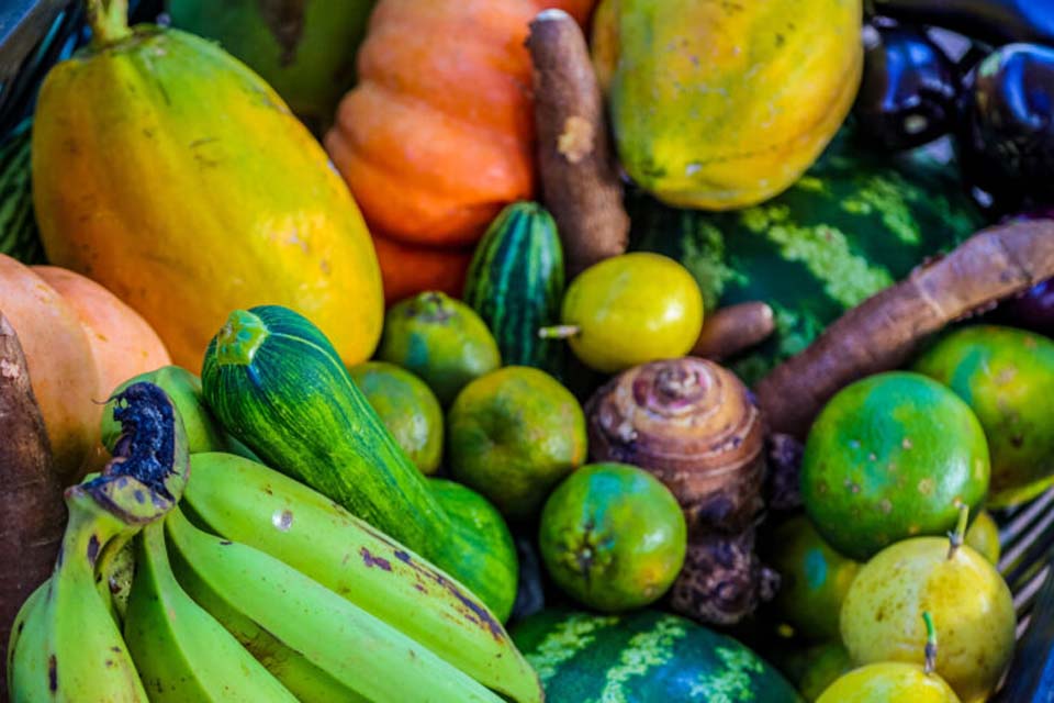 Chamada ao Apoio à Pesquisa e Soluções Inovadoras para a Fruticultura mantida até 22 de março
