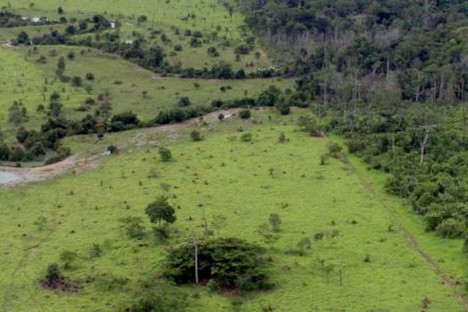 Prazo de entrega da declaração do ITR acaba hoje