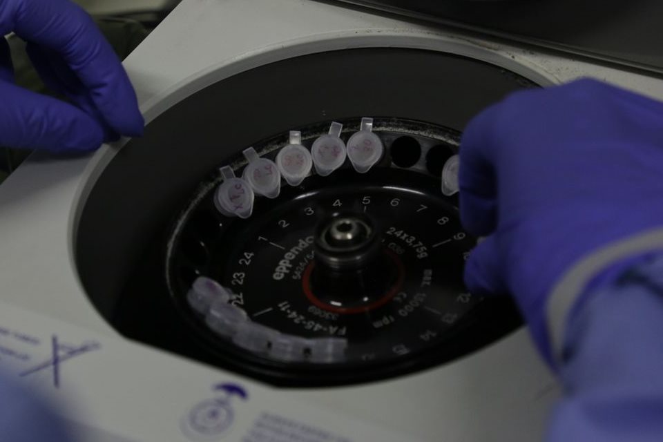 Instituto Butantan pretende desenvolver anticorpos contra covid-19 