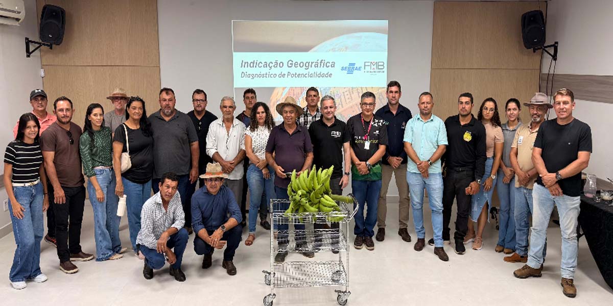 Diagnóstico avalia potencial de IG da banana do Vale do Jamari