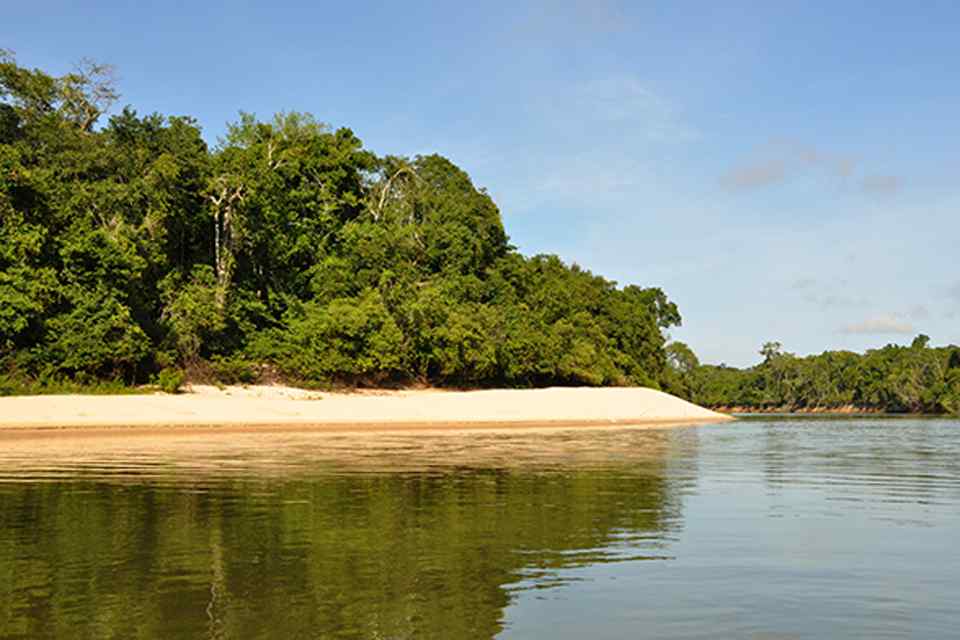 Governo apresentará ações de fomento à economia verde na COP-27; desenvolvimento e sustentabilidade