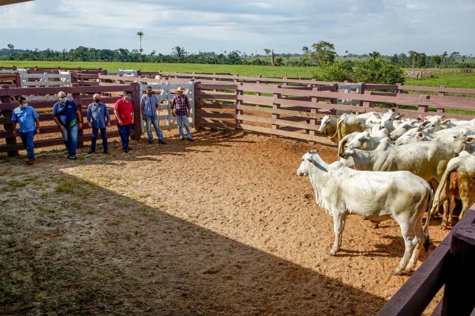 Governo realiza ações de controle e prevenção da raiva em mais de 780 propriedades rurais de Colorado do Oeste