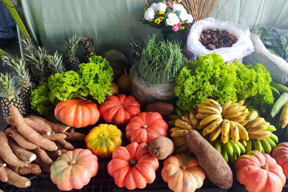 Programa de Aquisição de Alimentos Federal vai contemplar mais de mil produtores rurais em Rondônia