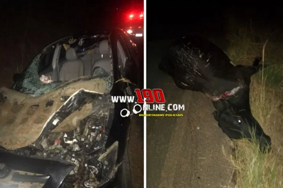 Três ficam feridos após carro bater em vaca, na LH P-50 em Alta Floresta 