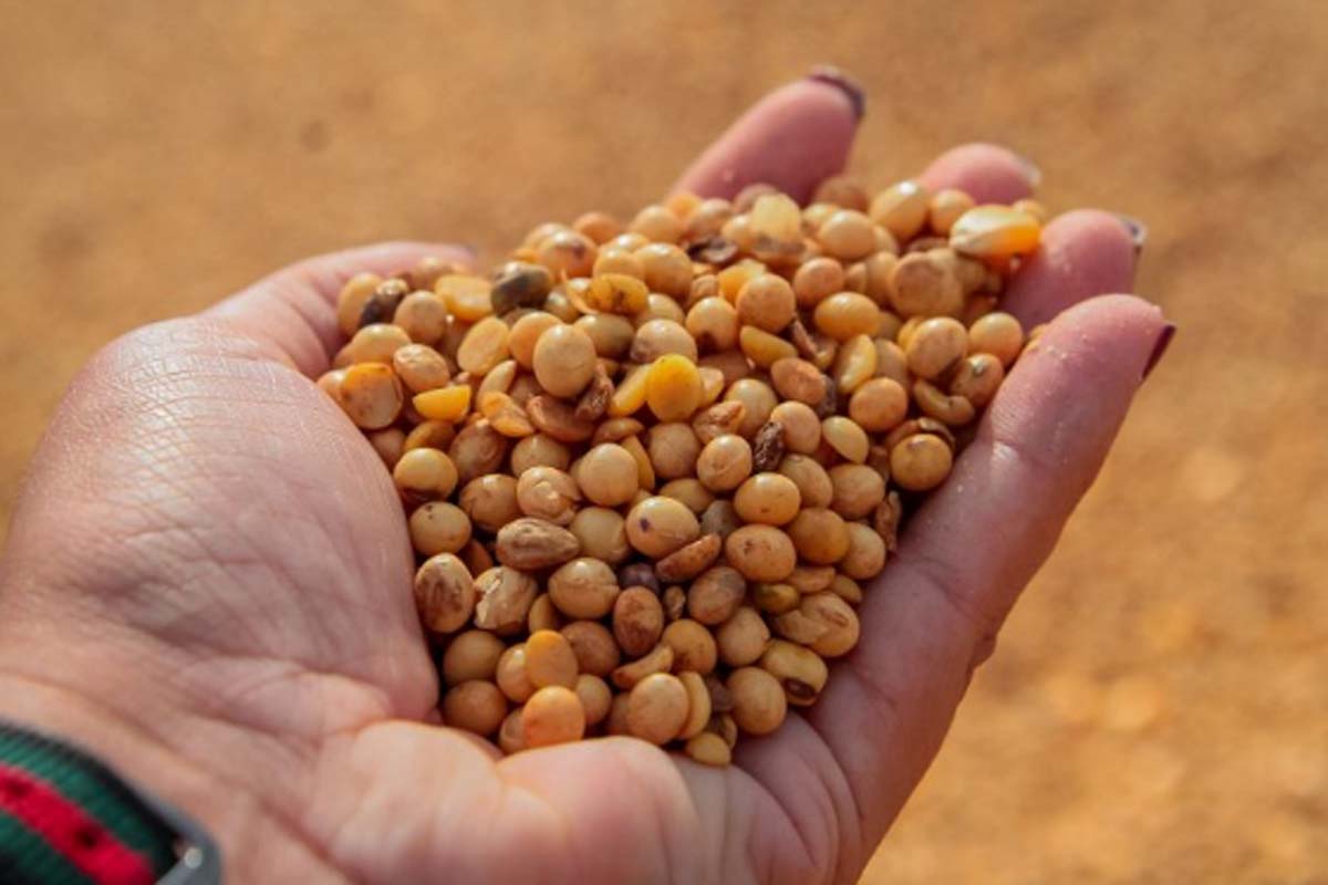 Governo de Rondônia comemora o Dia Mundial da Agricultura e destaca a força do campo no desenvolvimento do estado