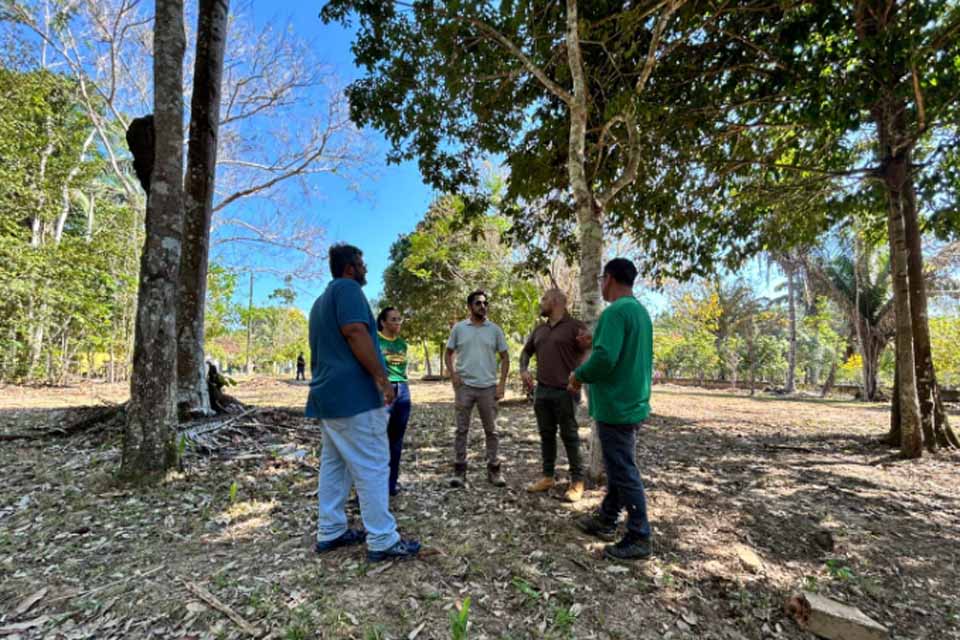 Parque Natural Raimundo Paraguaçu receberá meliponários voltados à educação ambiental e capacitação técnica