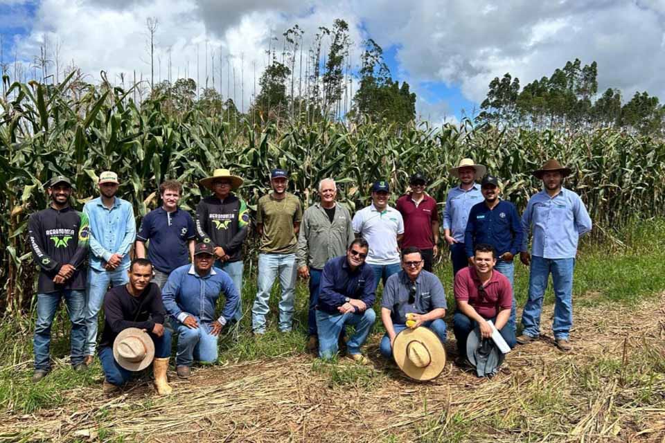 Professores e discentes do curso de Agronomia do Campus Colorado do Oeste publicam artigos técnico-científicos