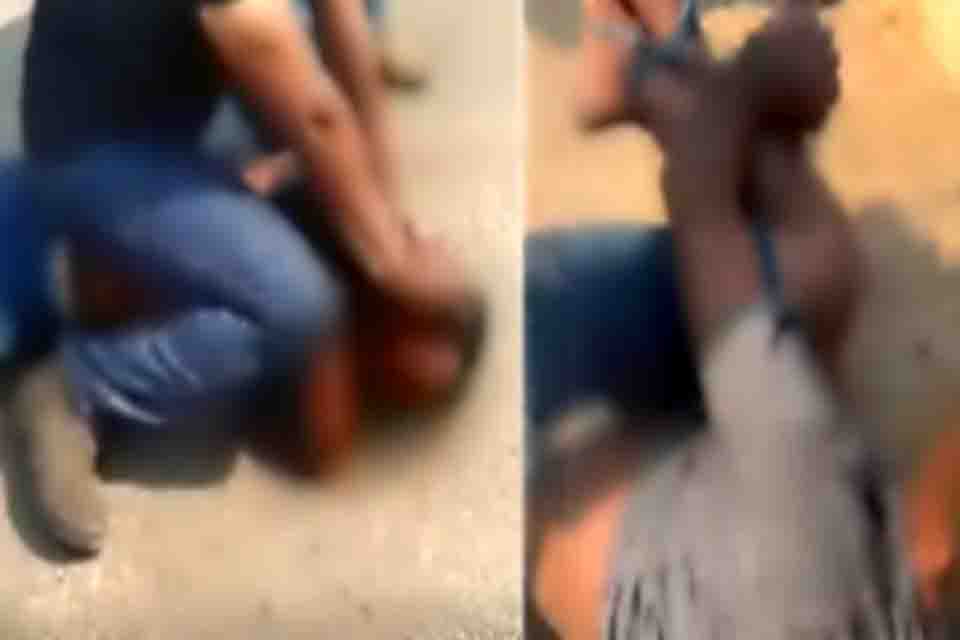 Após ser detido e amarrado por populares, homem conduzido pela PM 