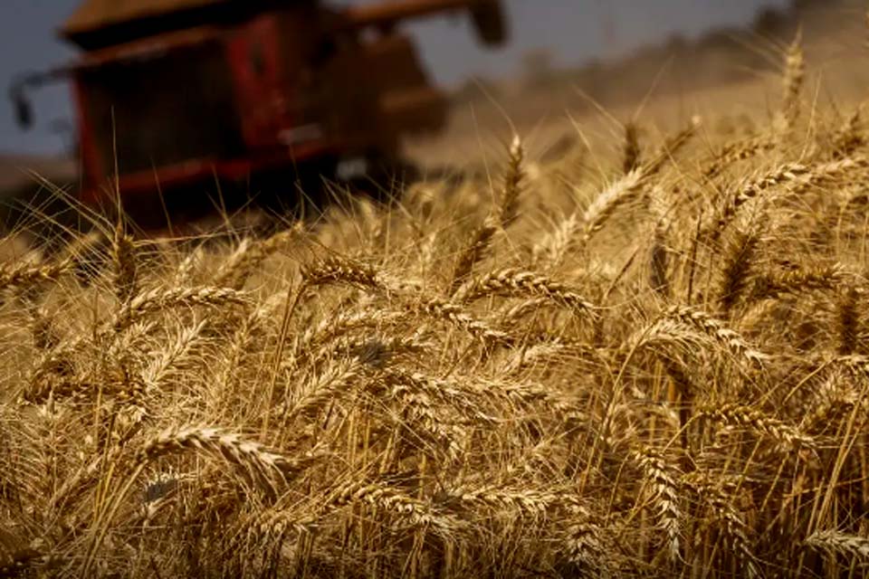 Brasil estima colheita de 354,8 milhões de toneladas de grãos