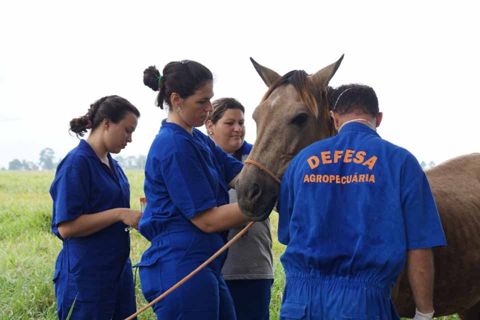 Com dedicação e profissionalismo, mulheres ganham protagonismo na defesa agropecuária em Rondônia