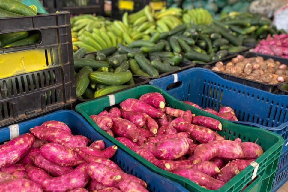 Pela primeira vez Rolim de Moura recebe alimentos do PAA municipal com recursos próprios