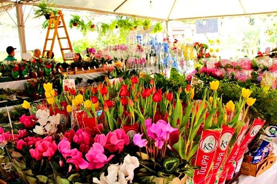 APAE promove mais uma edição da Tradicional feira das Flores
