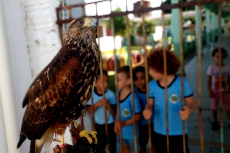 Semma apresenta resultados positivos da falcoaria na captura de pombos no município