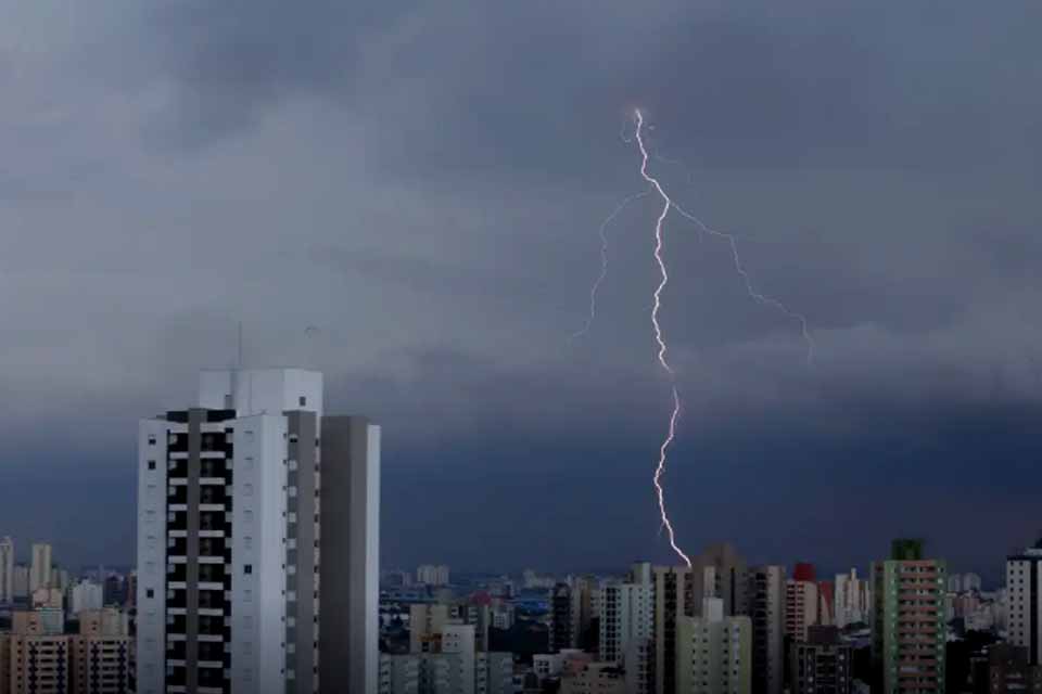 SP registra desabamentos e quedas de árvore por chuva forte