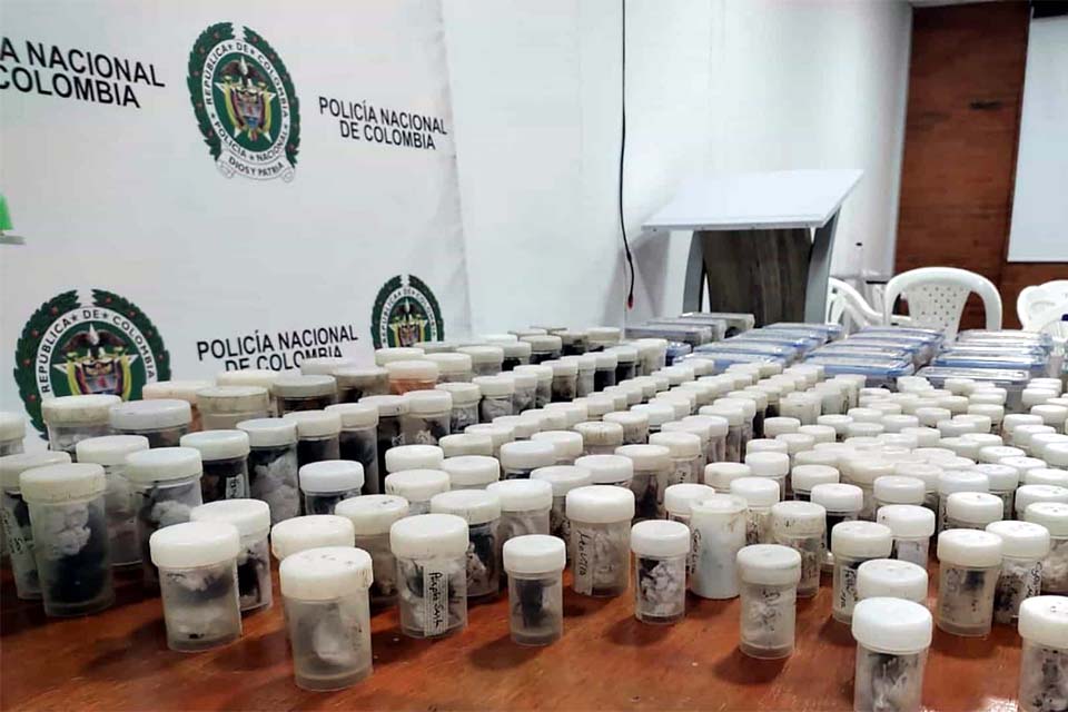 Colômbia apreende milhares de aracnídeos com destino à Europa