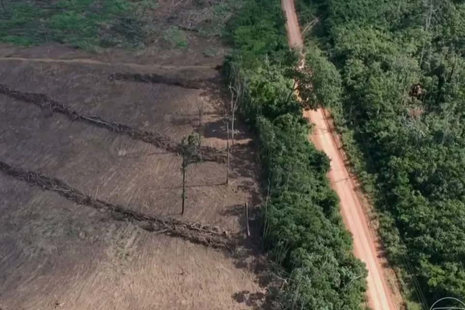Amazônia Legal tem o maior desmatamento em 15 anos, aponta Imazon