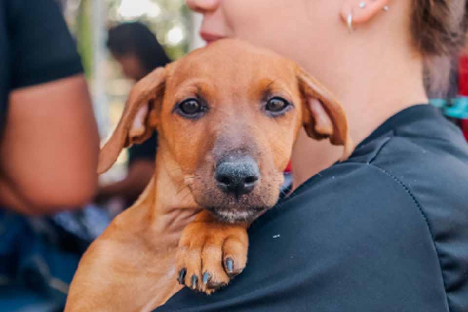 Janeiro já concentra mais da metade dos atendimentos realizados no semestre anterior