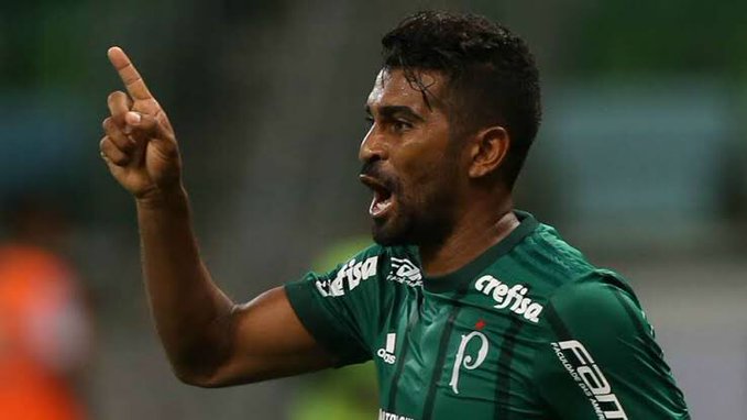 VÍDEO - Palmeiras 1 x 0 Botafogo; Gol e Melhores Momentos