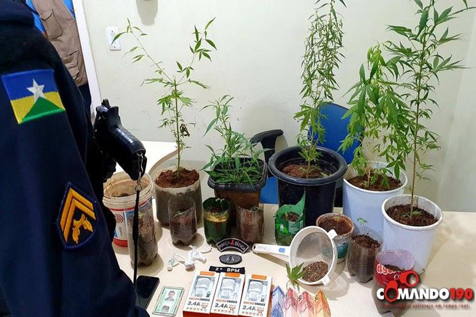 PM prende jovem que estavam cultivando pés de maconha dentro de casa