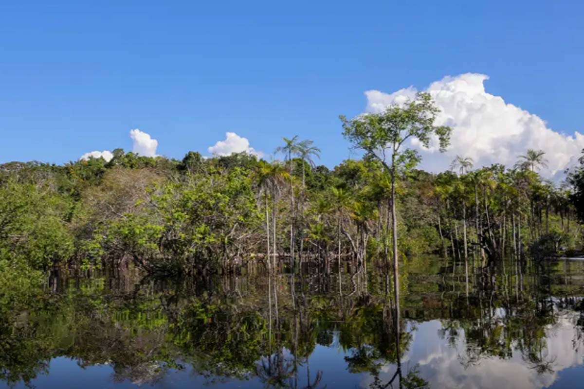 Governo levantou R$ 179 bi desde 2023 para transição ecológica
