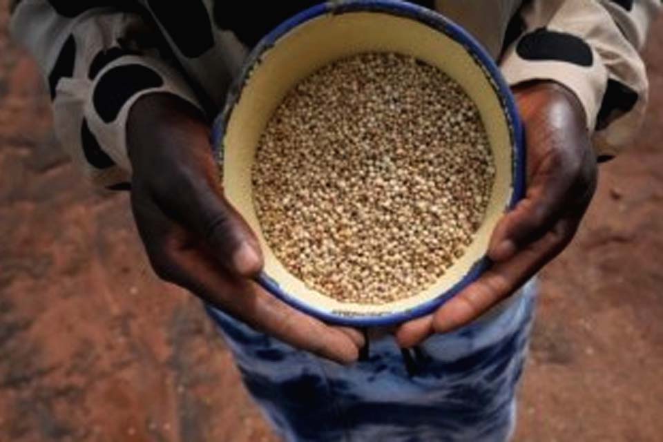 Insegurança alimentar em Moçambique atinge mais de 3 milhões de pessoas