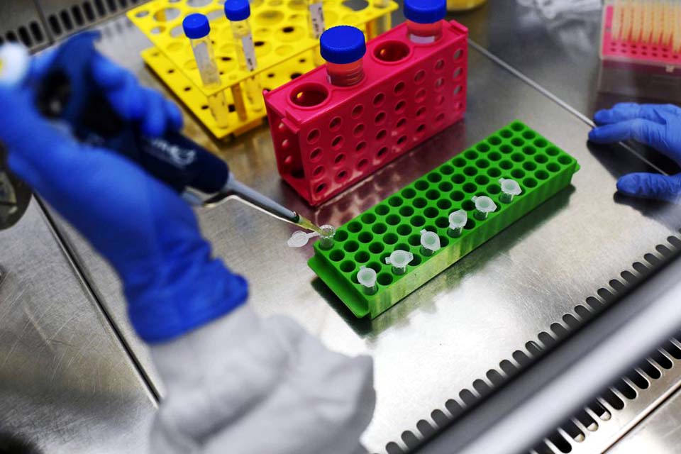 Pesquisadores brasileiros buscam moléculas para combater a covid-19