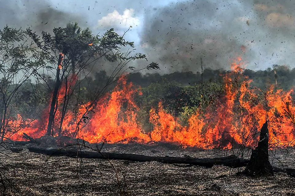 Força-tarefa do Ministério Público de Rondônia combate queimadas e sensibiliza população para denúncias