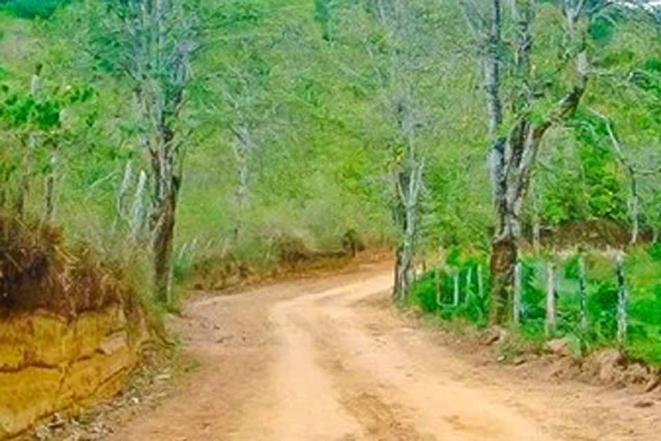 Reforma agrária: MPF recomenda que Incra construa estrada no assentamento Massangana