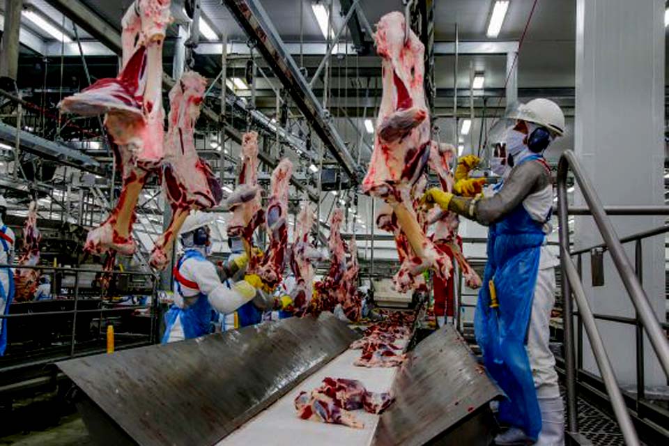 Idaron habilita mais um frigorífico de Rondônia no Sistema Brasileiro de Inspeção de Produtos de Origem Animal