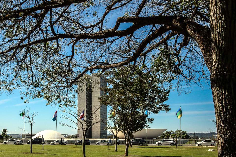 Senado começa a analisar novo arcabouço fiscal esta semana