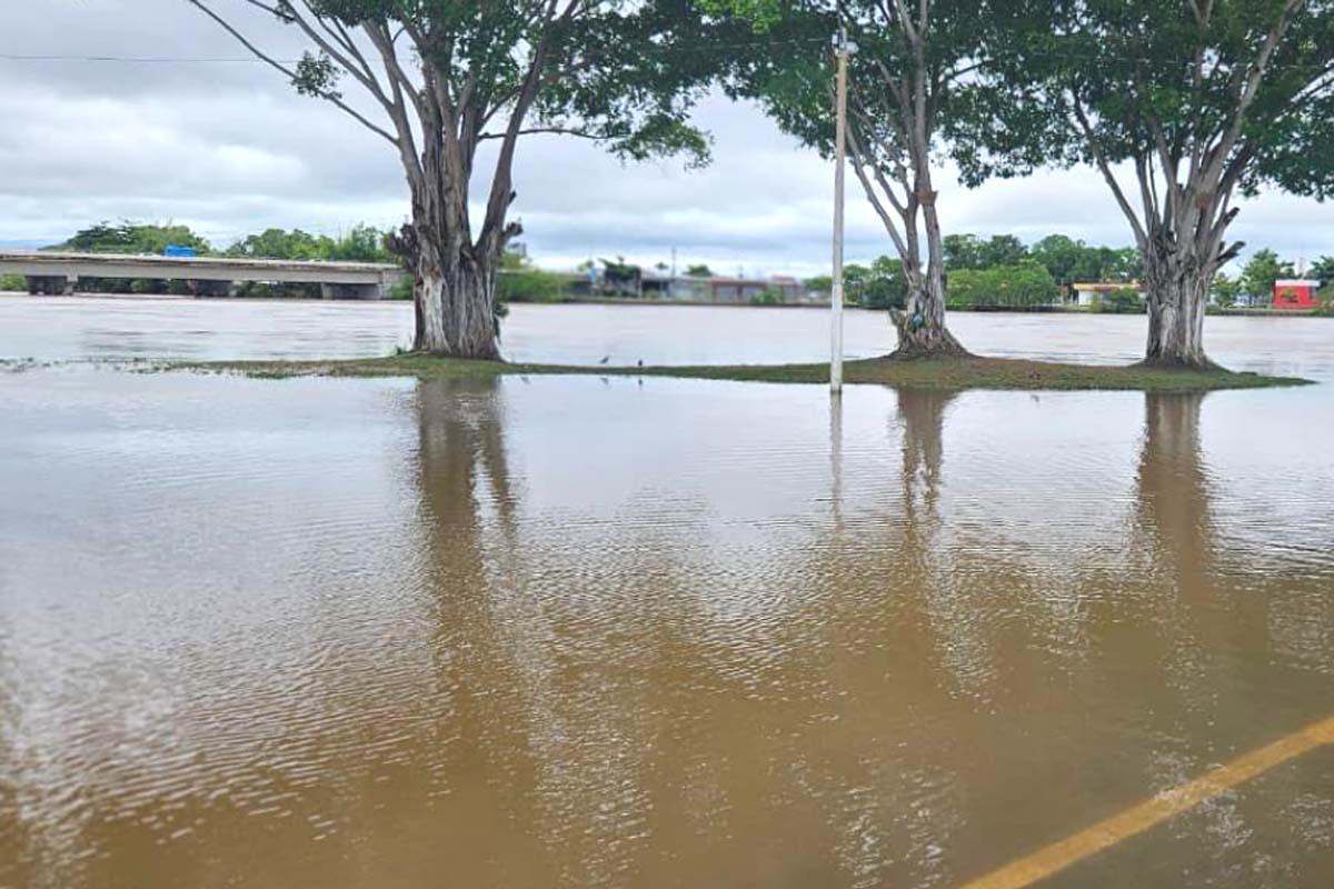 Enchente do Rio Machado coloca em alerta vermelho e mobiliza força-tarefa para atender famílias atingidas