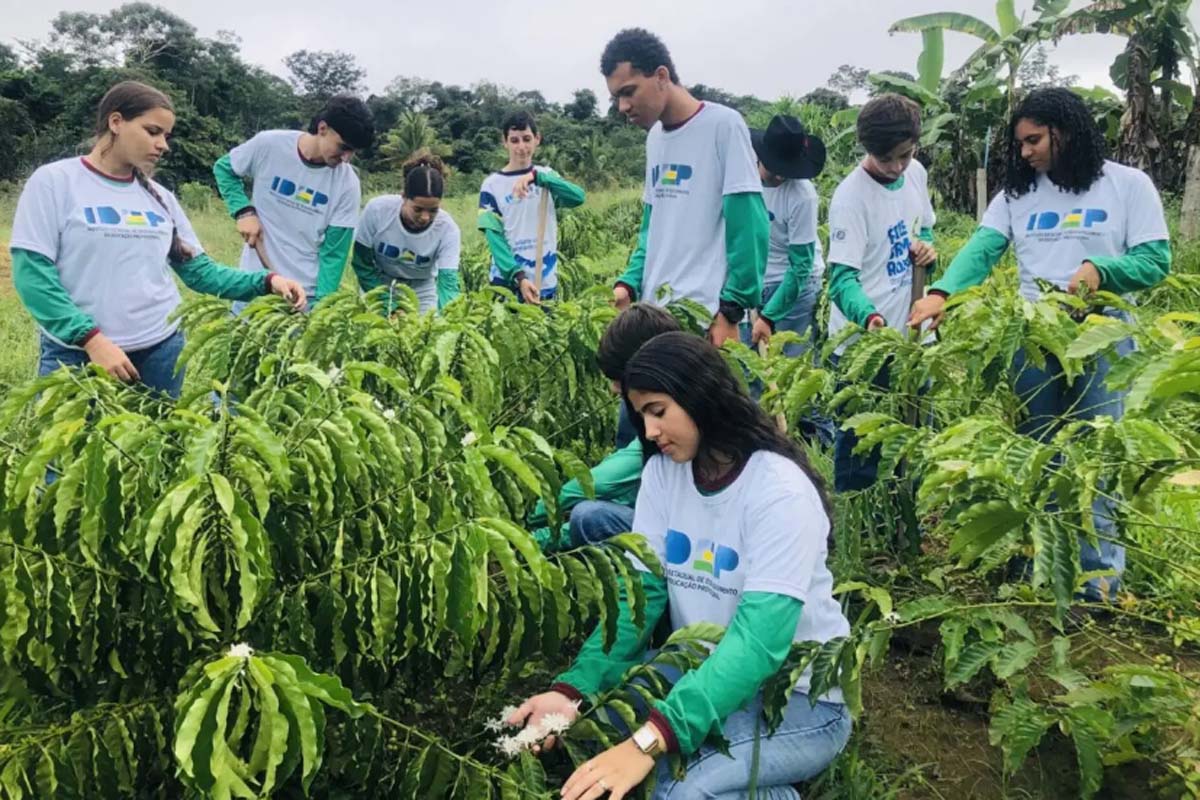 Formação técnica fortalece agricultura familiar e prepara jovens para atuar nas propriedades rurais em Rondônia