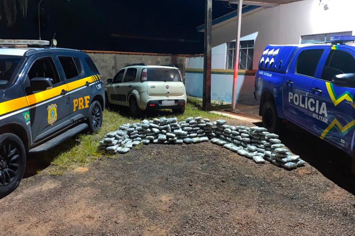 Ação conjunta resulta na apreensão de mais de 160 quilos de skunk