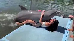 Golfinho pula em mulher e tenta acasalar com ela 