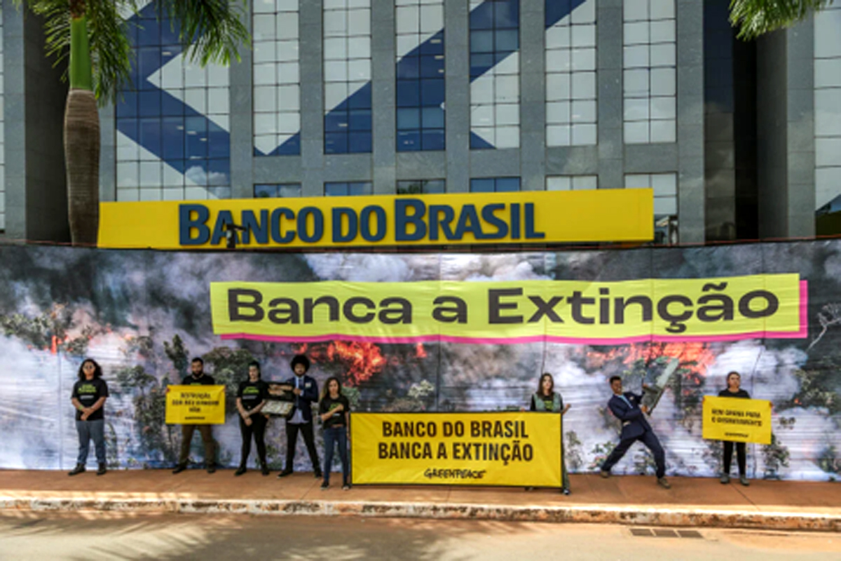 Ação do MPF contra Banco do Brasil reforça denúncia do Greenpeace sobre concessão de crédito rural em Terra Indígena