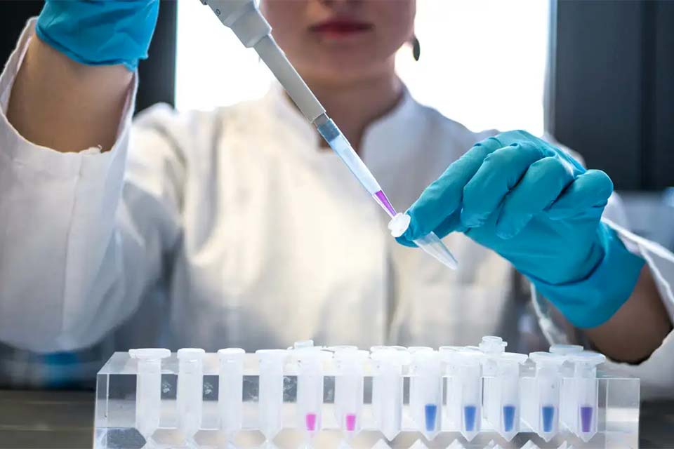 Brasil é o terceiro colocado na participação feminina na ciência