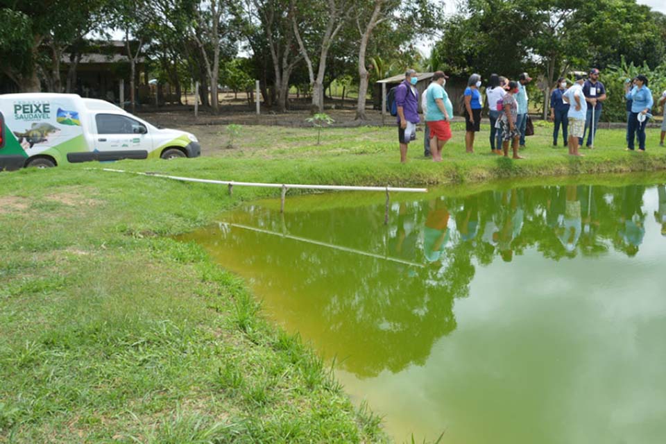 Governo de Rondônia garante a regularidade da oferta de peixes durante o período de defeso