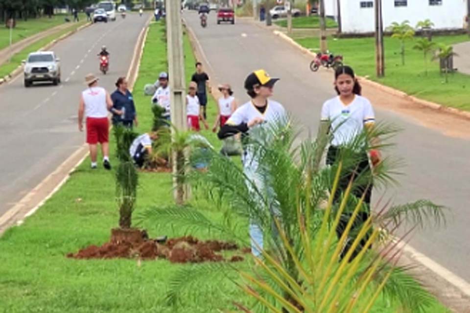 Prefeitura faz plantio de 500 mudas de palmeiras nos canteiros da Avenida Tancredo Neves.