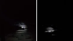 Pescador fica cercado de crocodilos em pescaria 