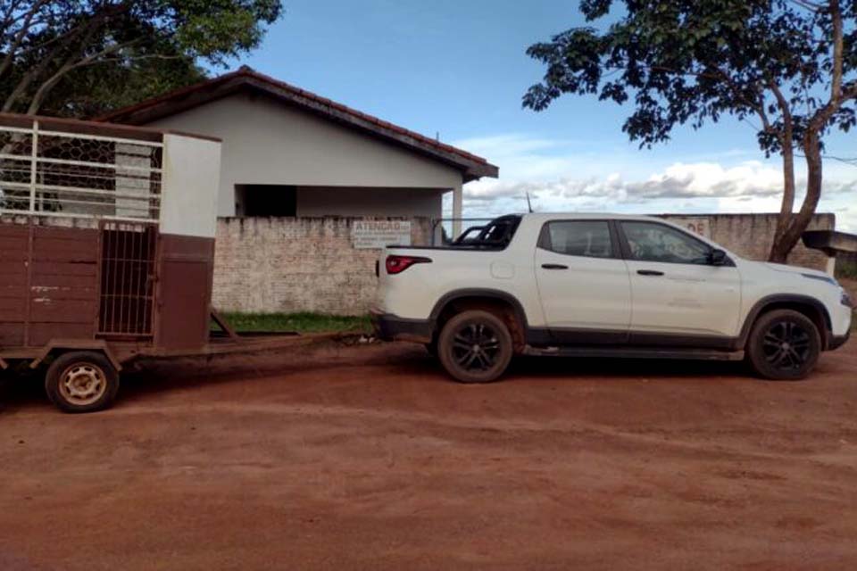 Equipes do CCZ retorna com recolhimento de animais soltos em vias públicas