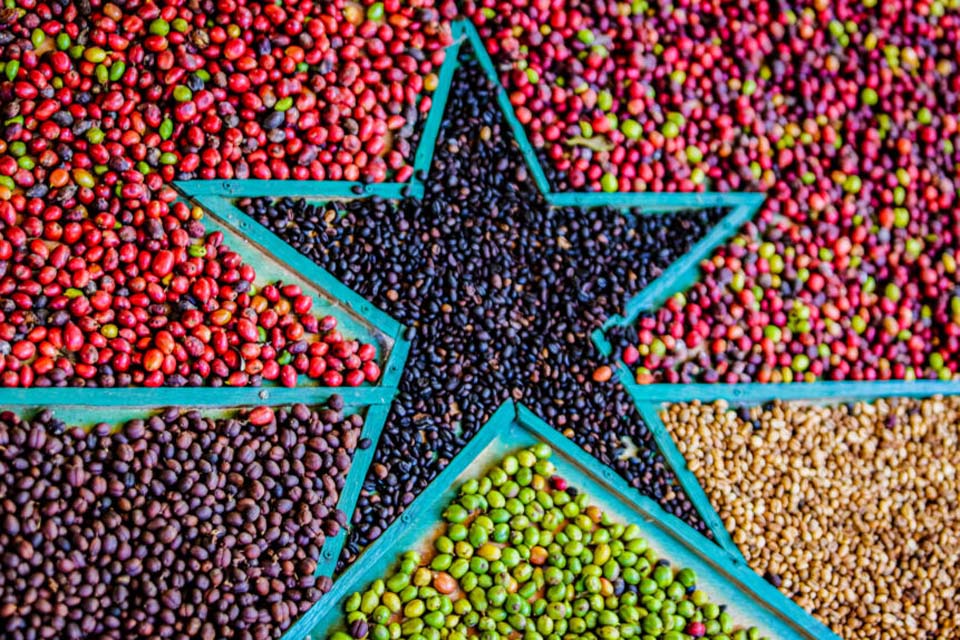 Governo de Rondônia apresenta potencialidades do estado premiadas em Feira Internacional de Comércio