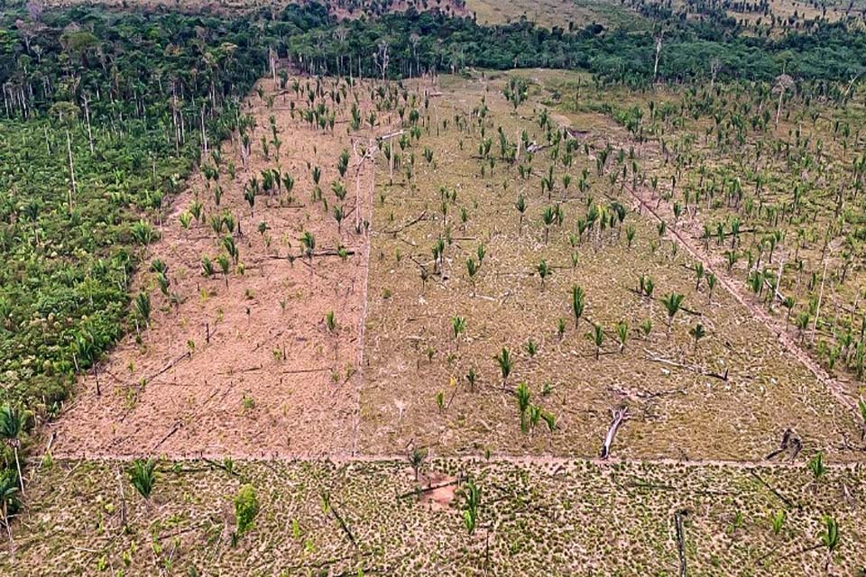 Justiça mantém prisão de invasor de Parque Estadual denunciado pelo MPRO em decorrência da operação 