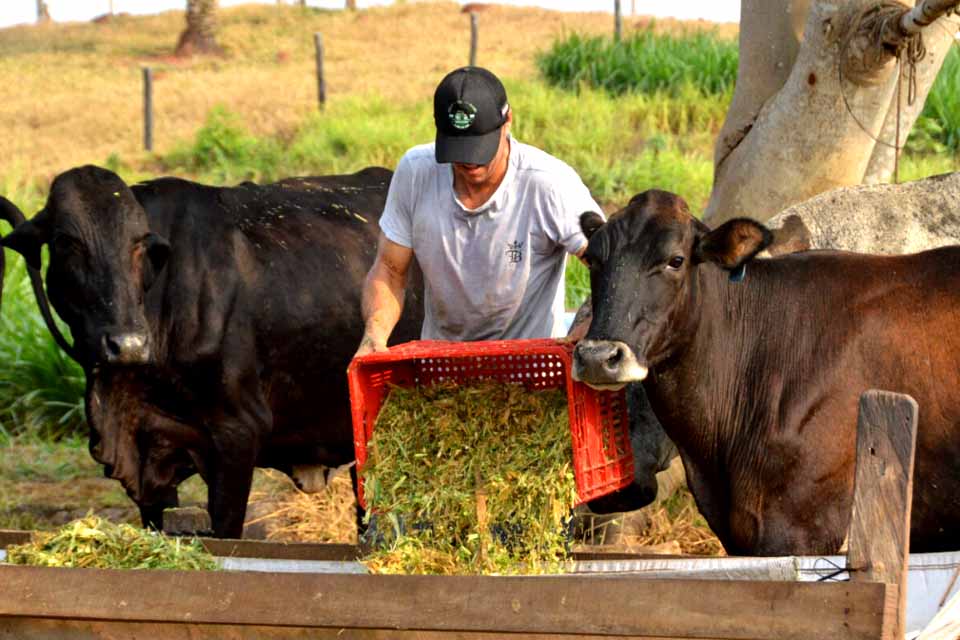 Gestão, inovação e transformação fortalecem a assistência técnica rural em Rondônia