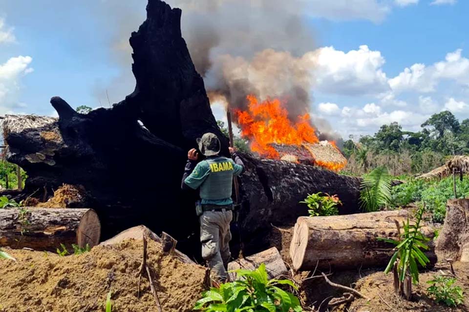 Governo Federal exonera superintendente regional do Ibama no PA e de outros estados
