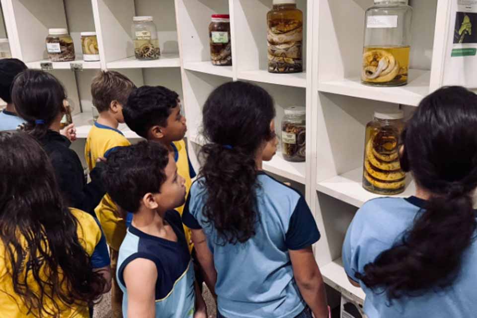 Alunos da Escola Municipal Broto do Açaí têm manhã de aprendizado e diversão no Parque Natural de Porto Velho