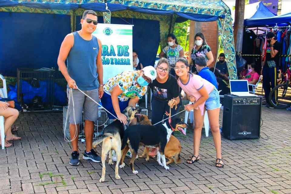 Apaixonada por bichos Márcia Socorristas Animais realiza bazar para ajudar animais abandonados