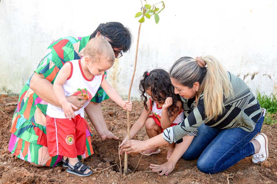 Semeia realiza plantio educativo com crianças da Creche Grilo Falante