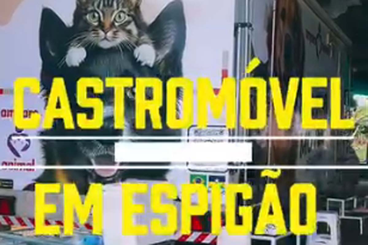 Espigão do Oeste: Mais de 100 animais atendidos em grande ação de cuidado e reponsabilidade