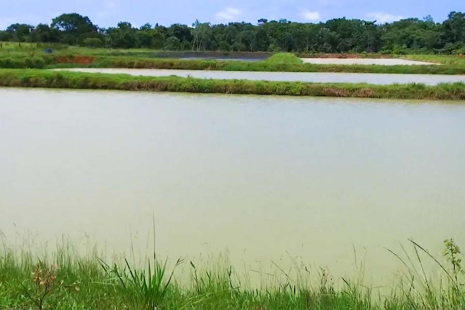 Programa Porteira Adentro beneficia pequenos agricultores 